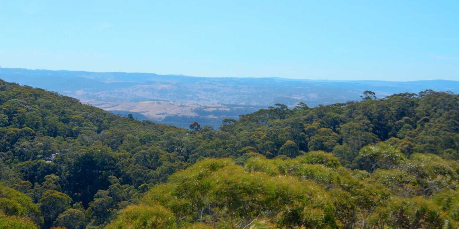 16 Lookout Street Blackheath