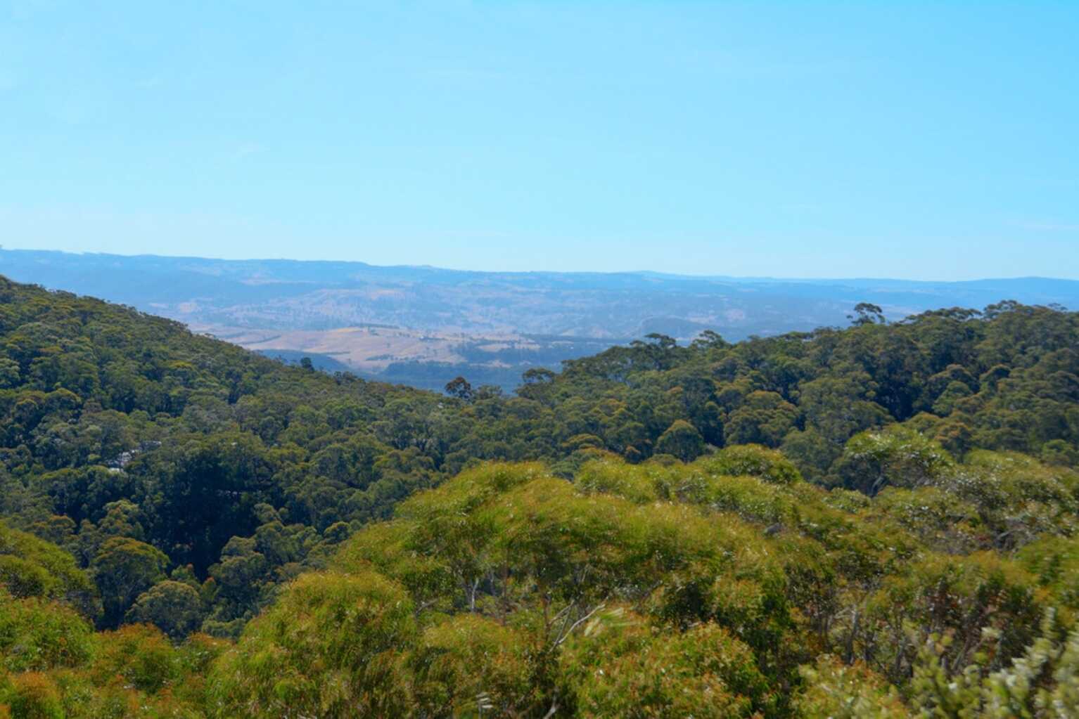 16 Lookout Street Blackheath