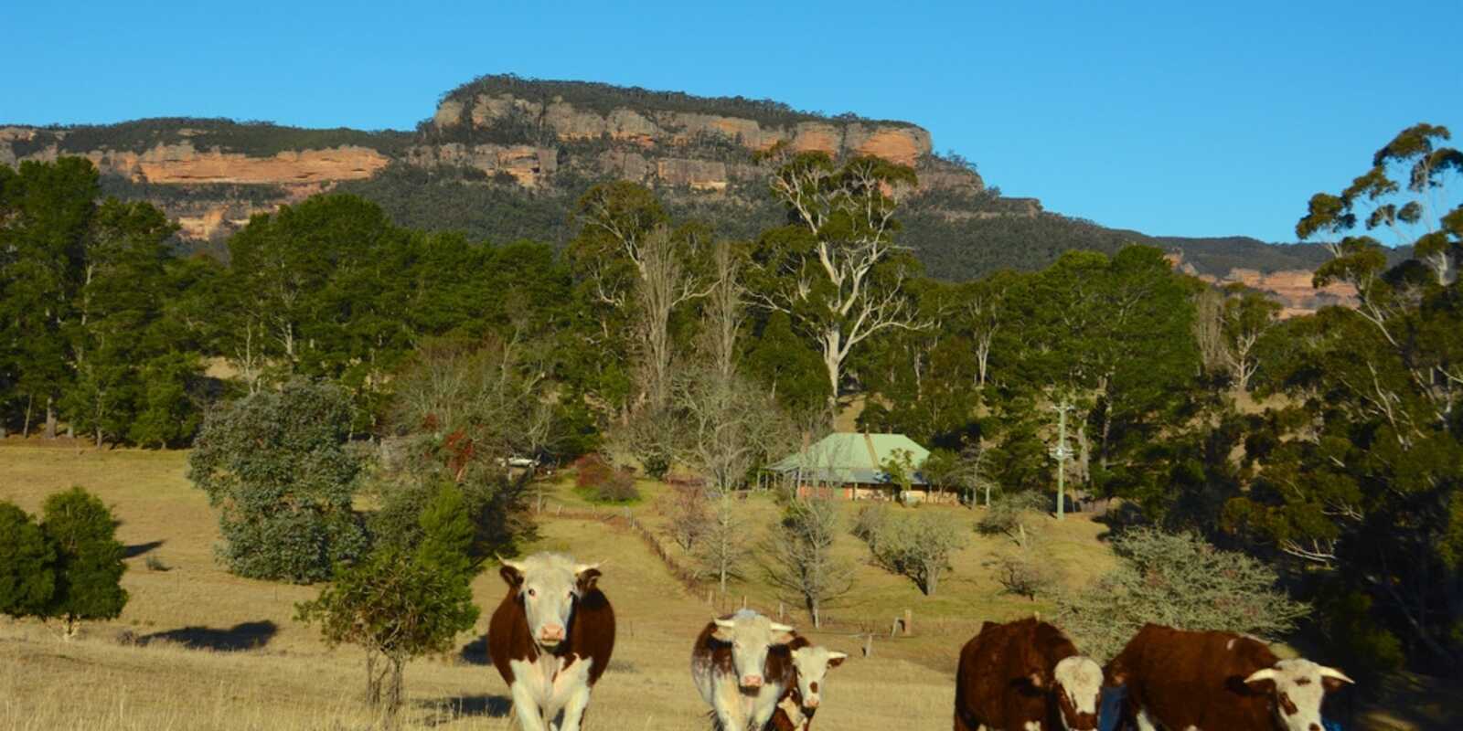 23 Pinnacle Road Megalong Valley
