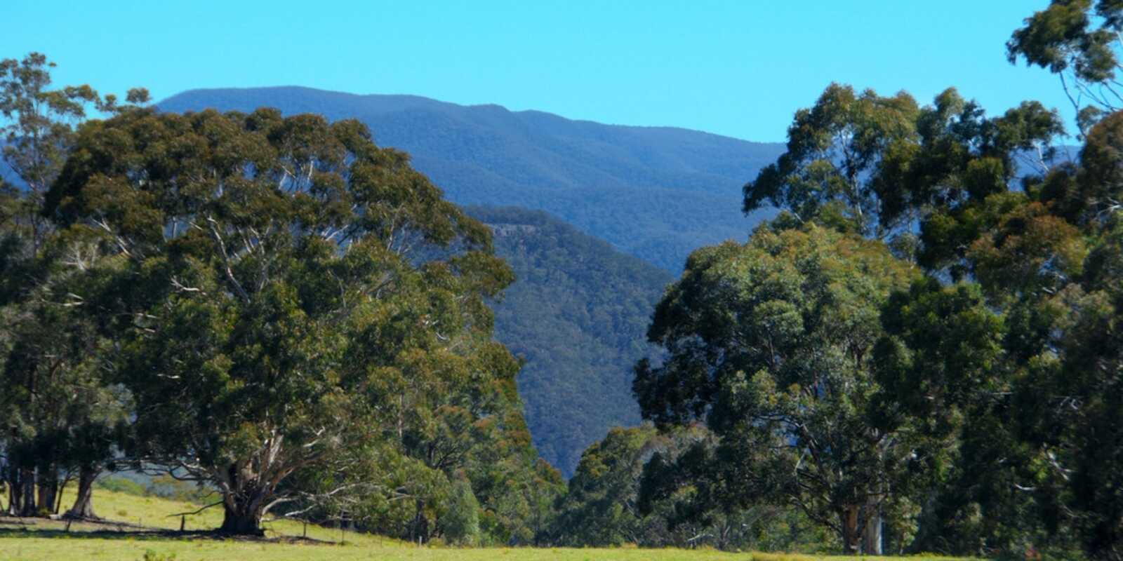 23 Pinnacle Road Megalong Valley