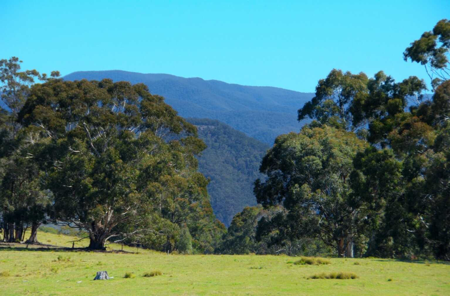 23 Pinnacle Road Megalong Valley