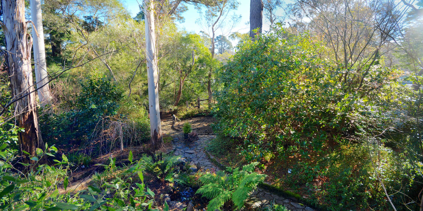 21 Blackheath Street Leura