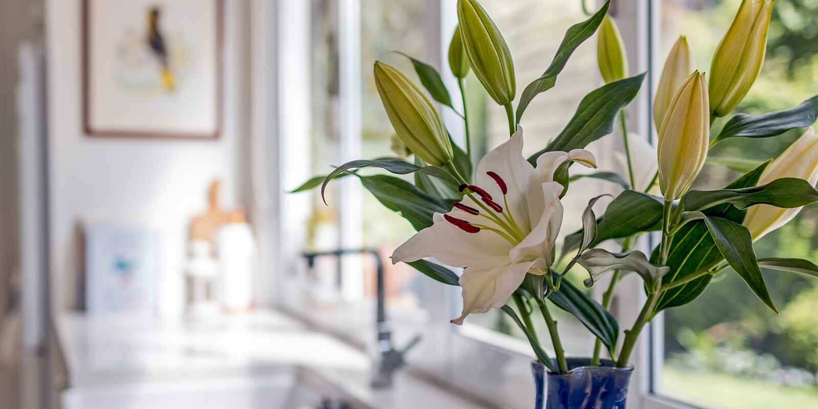 9 Heath Street Blackheath 9 Heath Street Blackheath