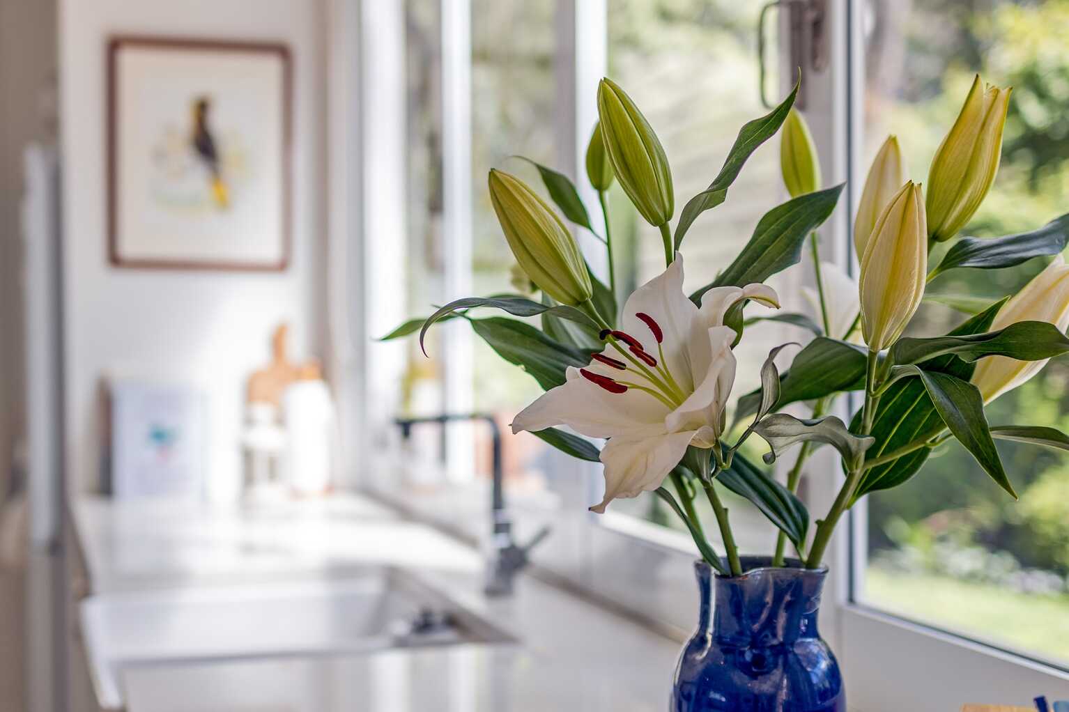 9 Heath Street Blackheath 9 Heath Street Blackheath