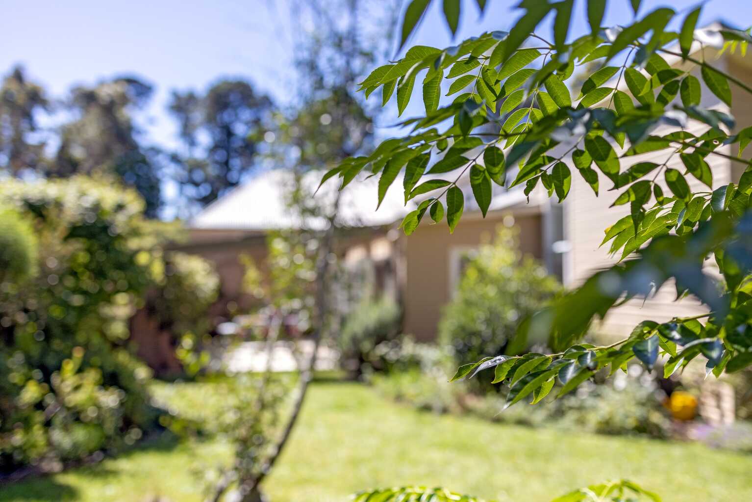 9 Heath Street Blackheath 9 Heath Street Blackheath