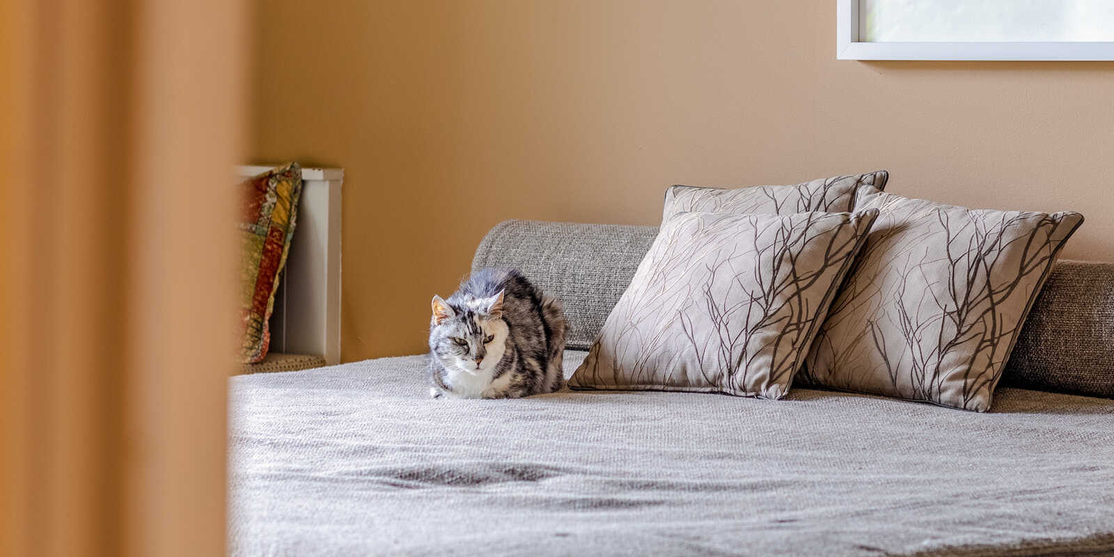 95-97 Mount Irvine Road Mount Wilson