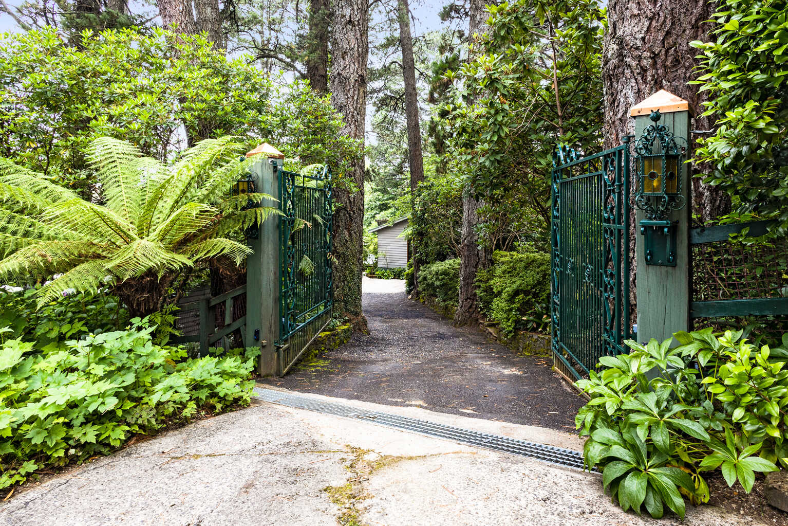 95-97 Mount Irvine Road Mount Wilson