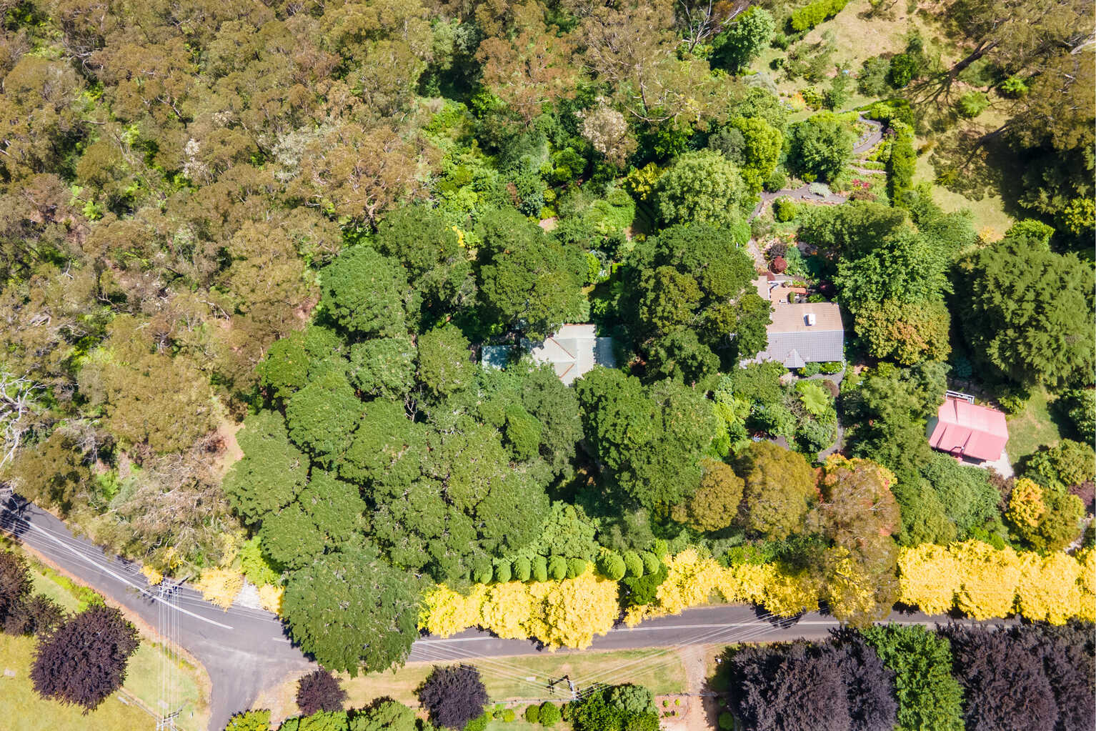 95-97 Mount Irvine Road Mount Wilson