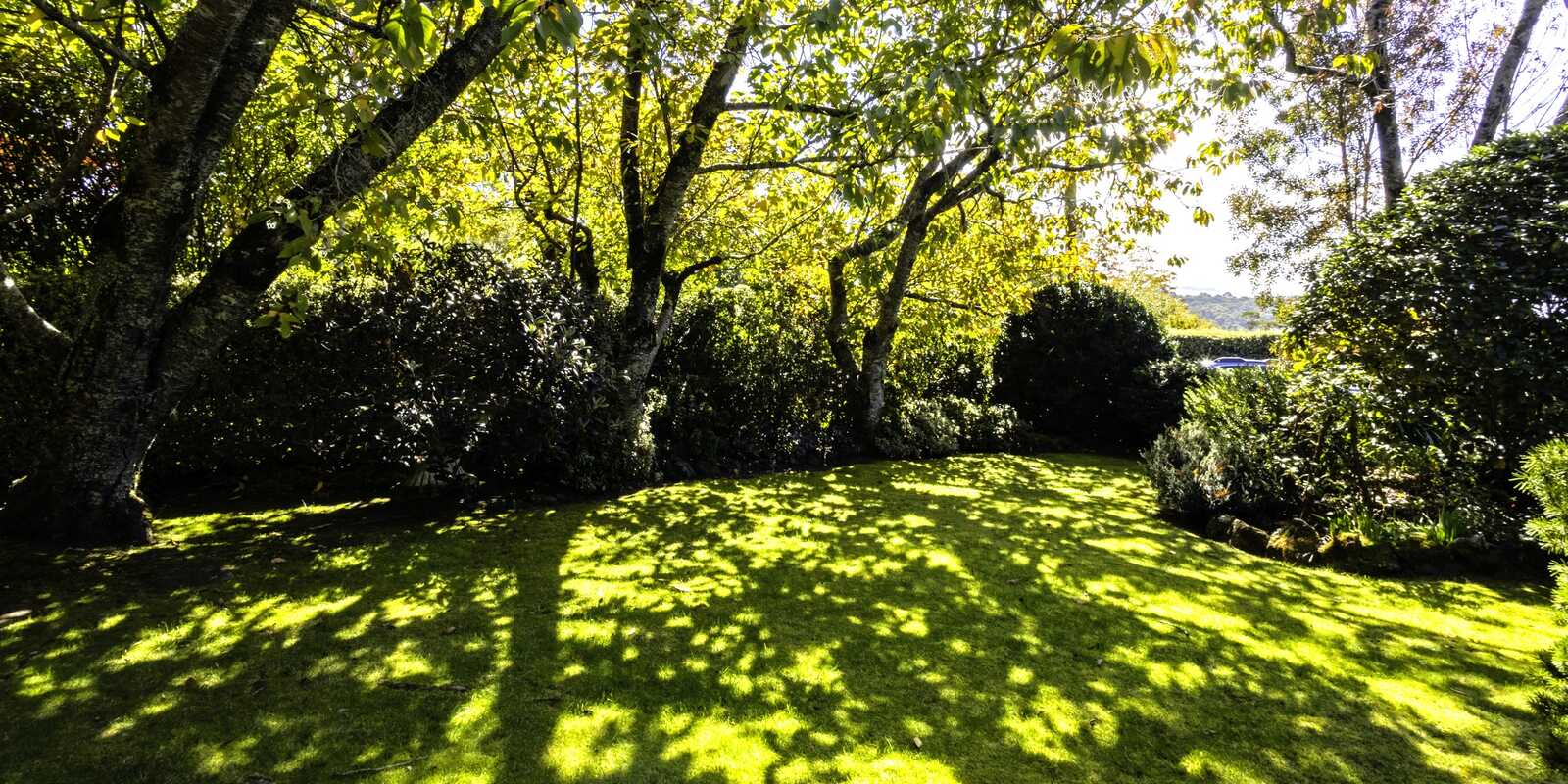 29 Days Crescent Blackheath 29 Days Crescent Blackheath