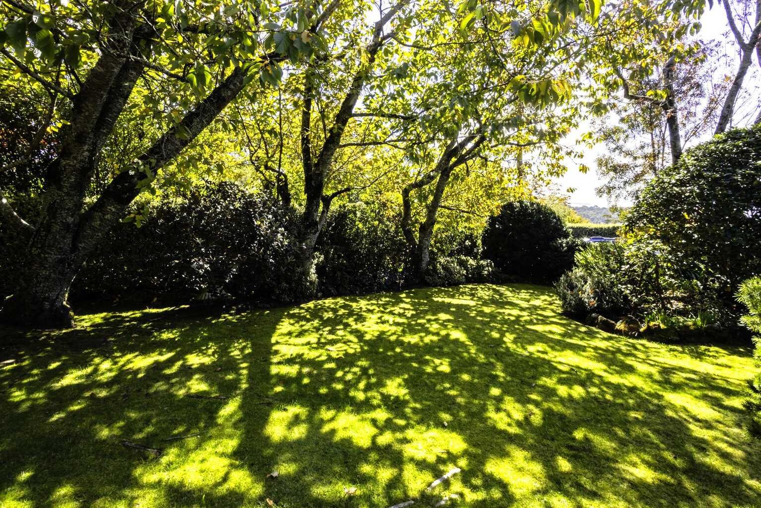 29 Days Crescent Blackheath 29 Days Crescent Blackheath