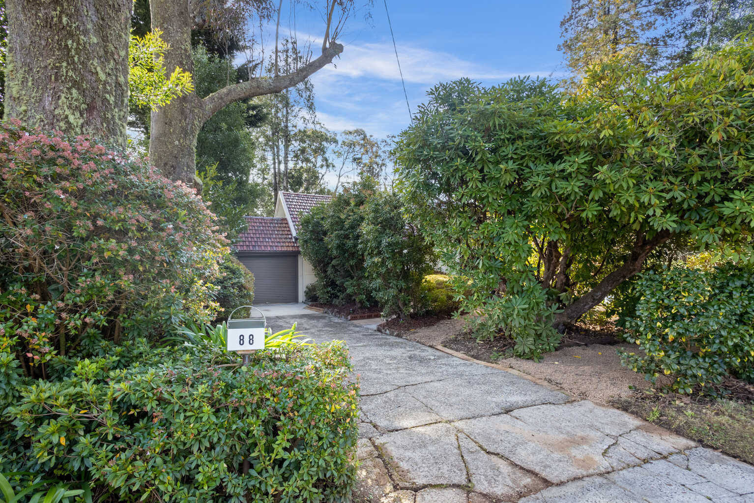 88 Evans Lookout Road Blackheath