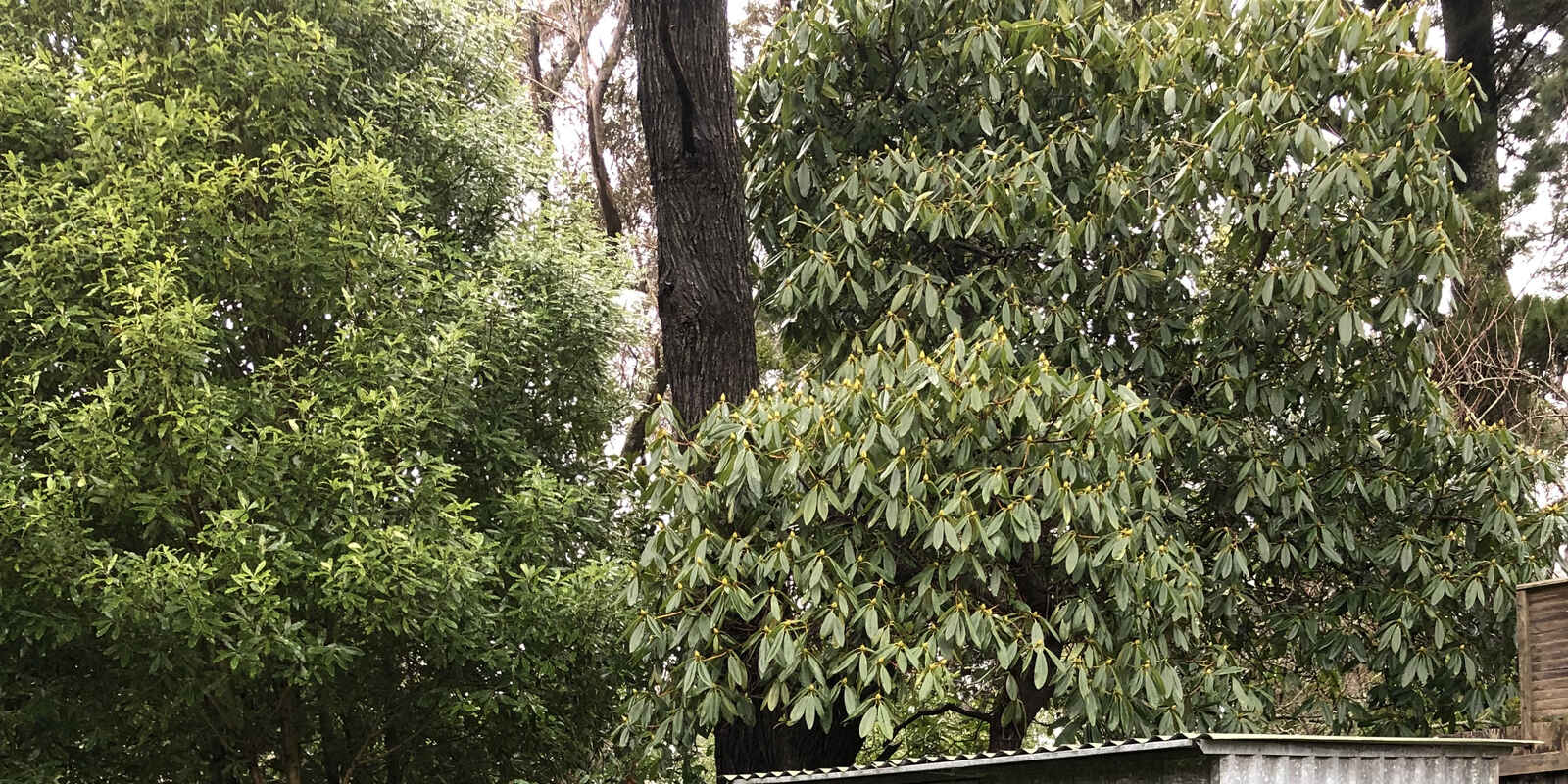 4 Heath Street Blackheath