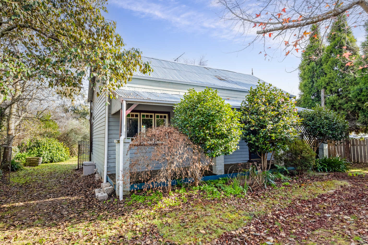 4 Haviland Avenue Blackheath