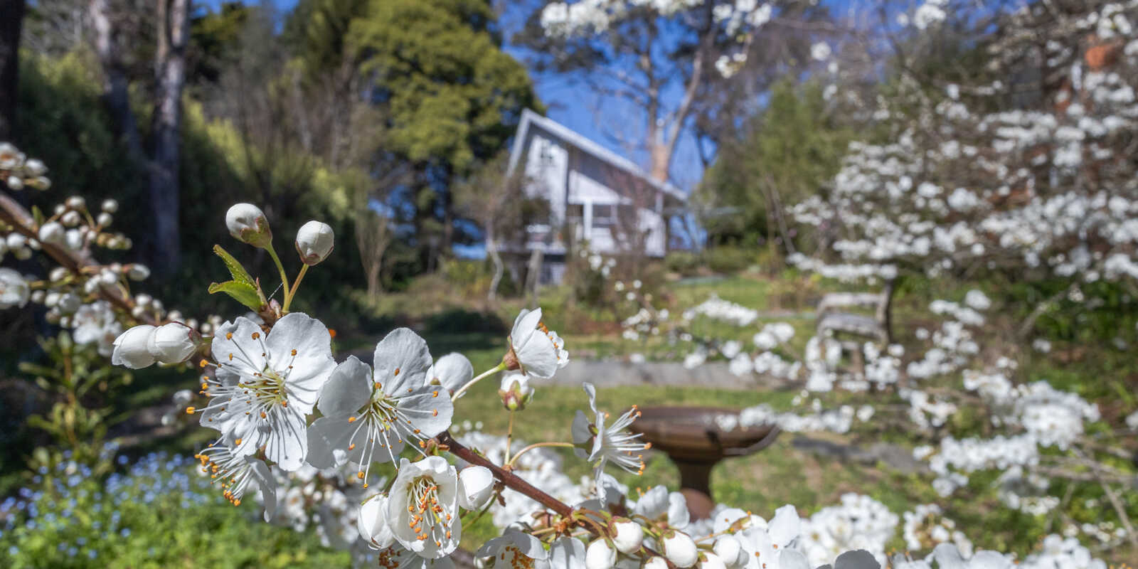 30 Sylvania Street Mount Victoria