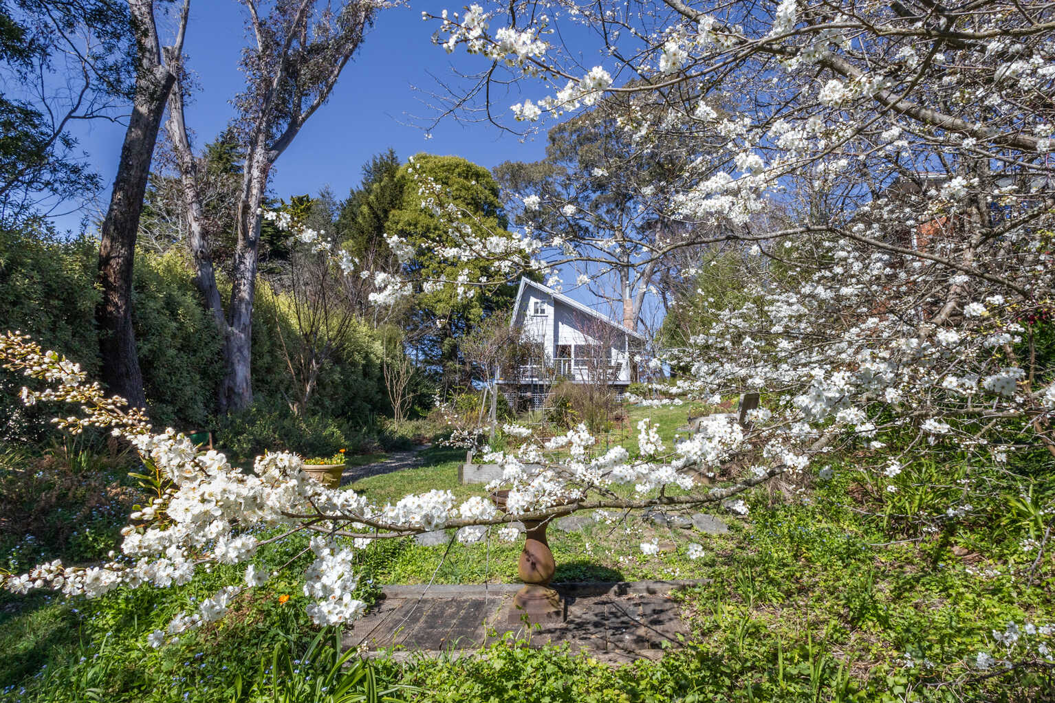 30 Sylvania Street Mount Victoria