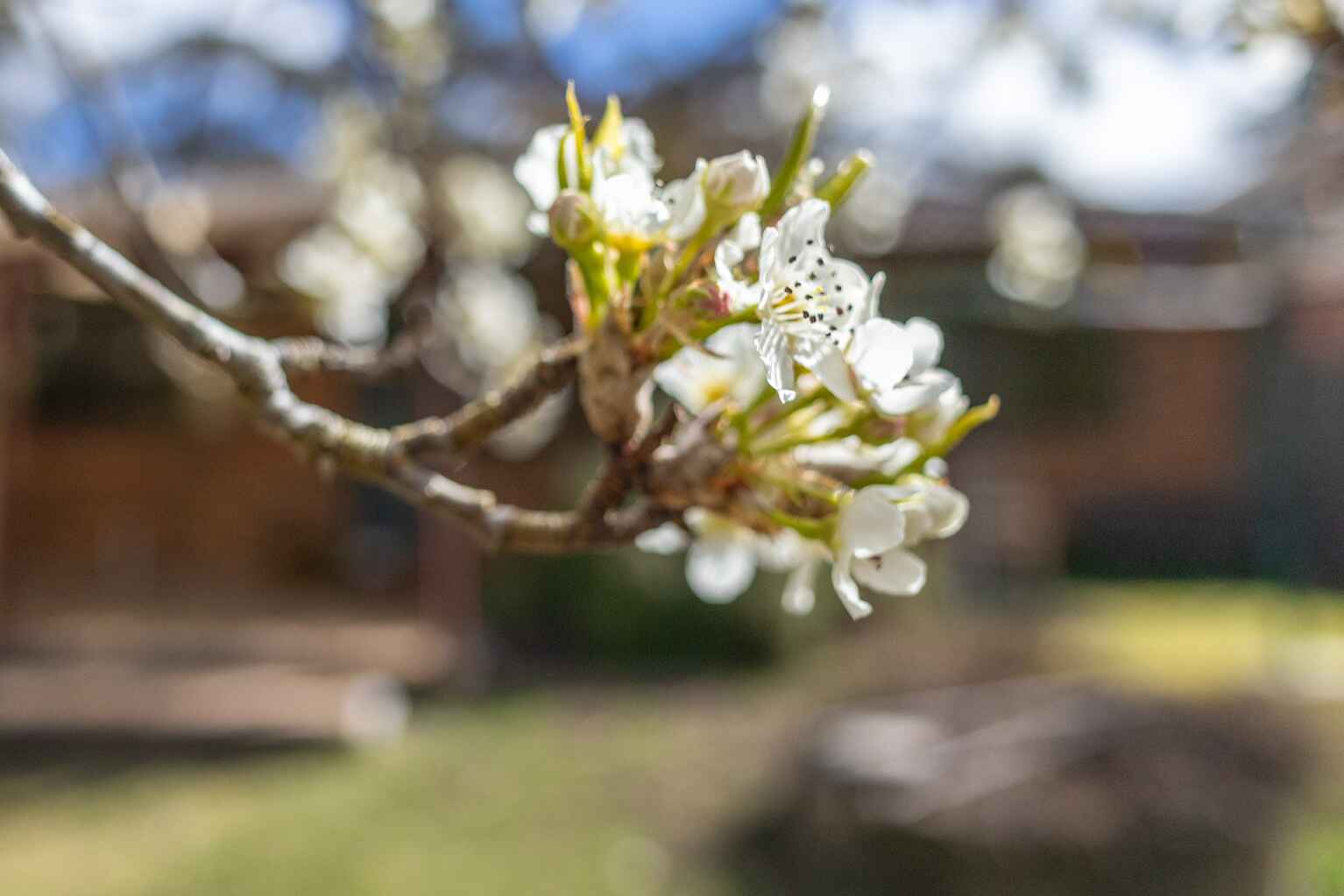 49 Mount York Road Mount Victoria