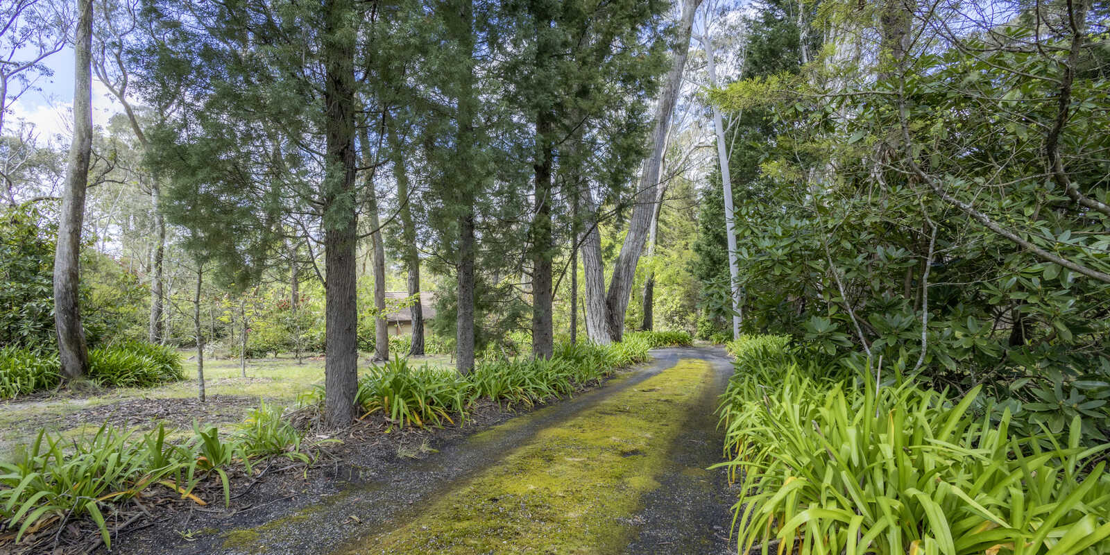 7 Balmoral Road Mount Victoria