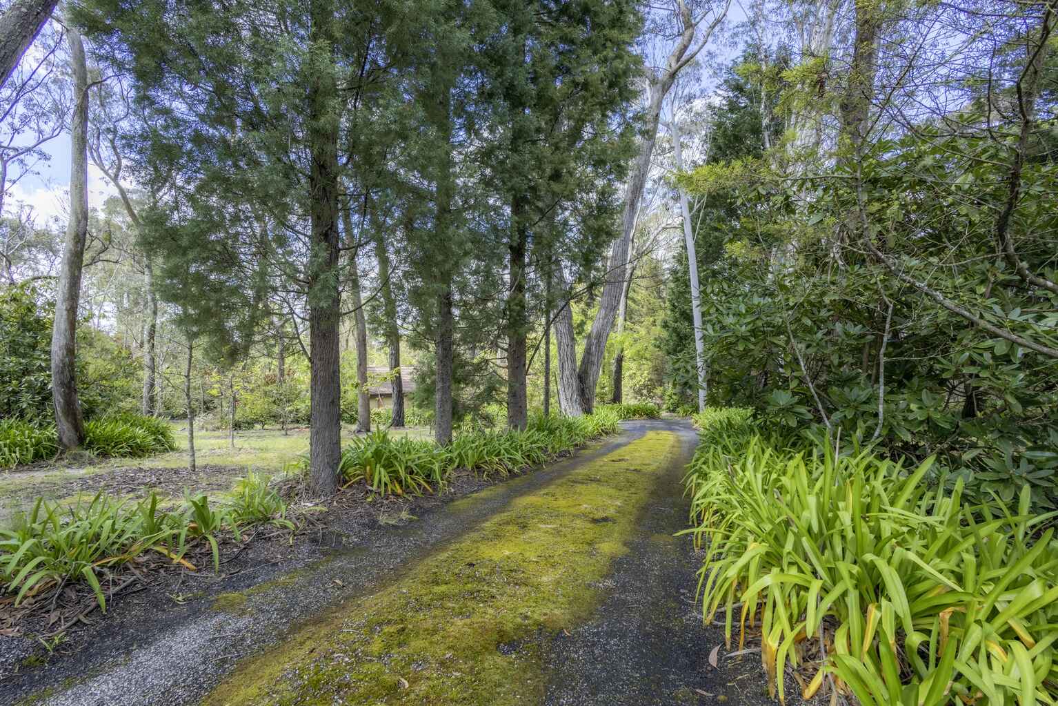 7 Balmoral Road Mount Victoria