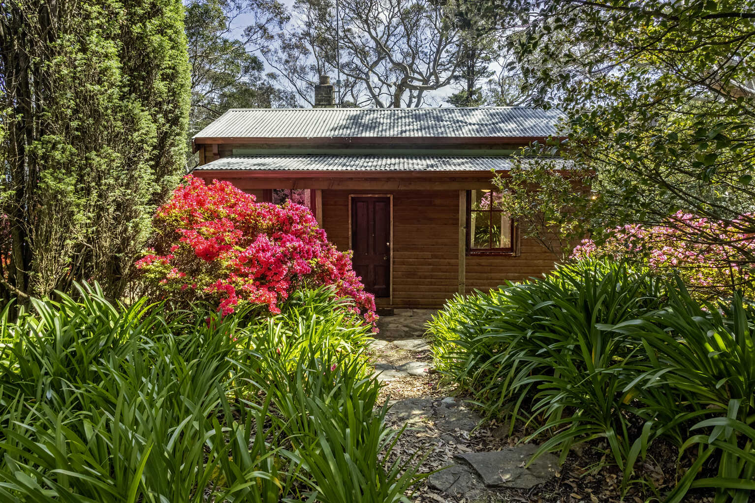 23 Shipley Road Blackheath