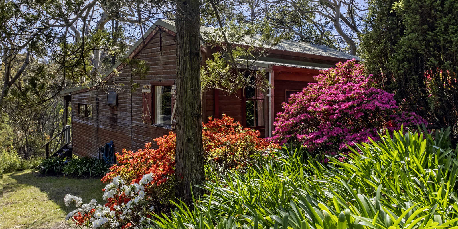 23 Shipley Road Blackheath