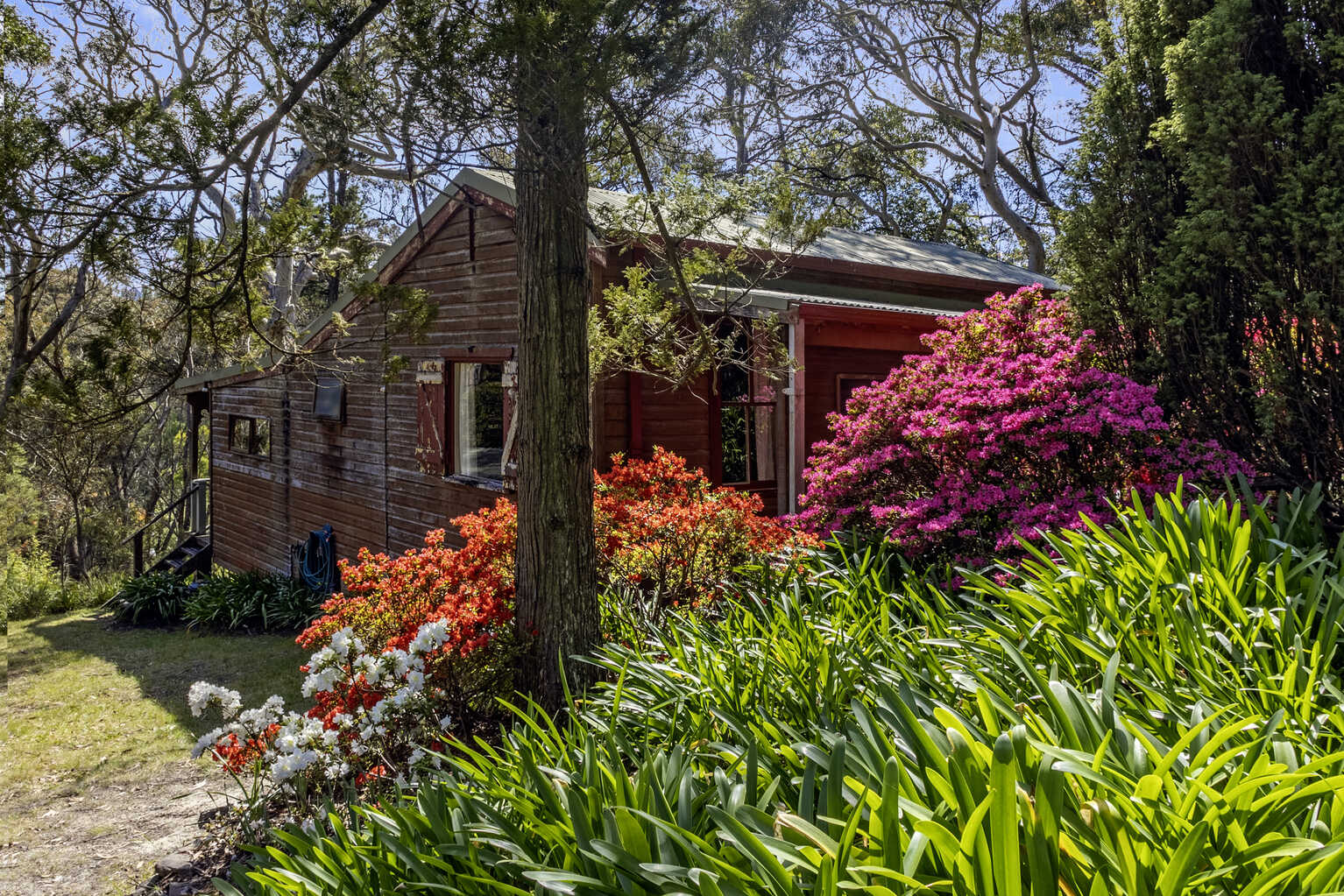 23 Shipley Road Blackheath