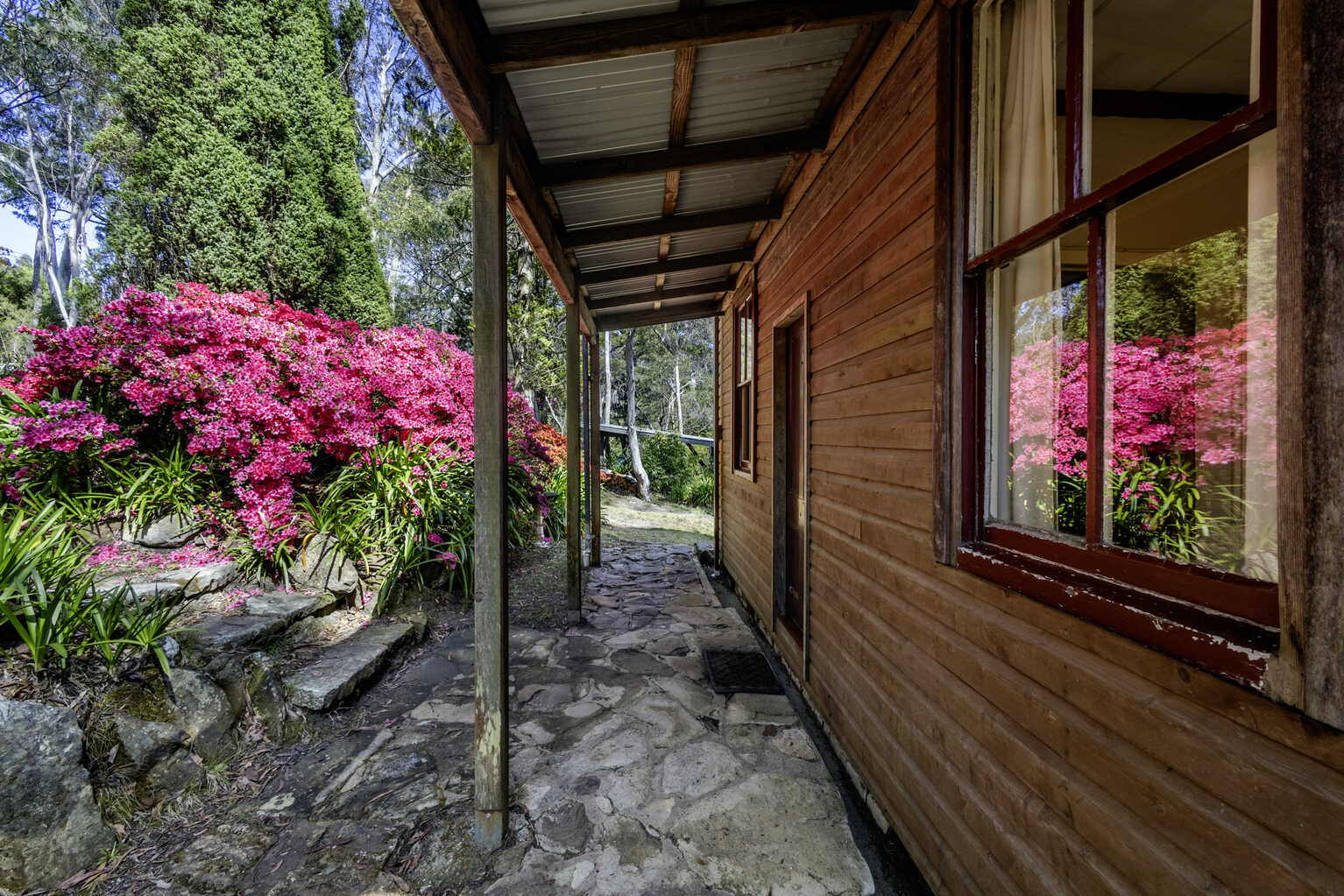 23 Shipley Road Blackheath
