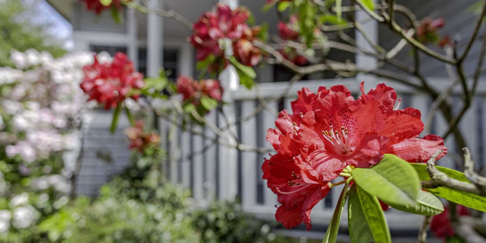 76 Wentworth Street Blackheath
