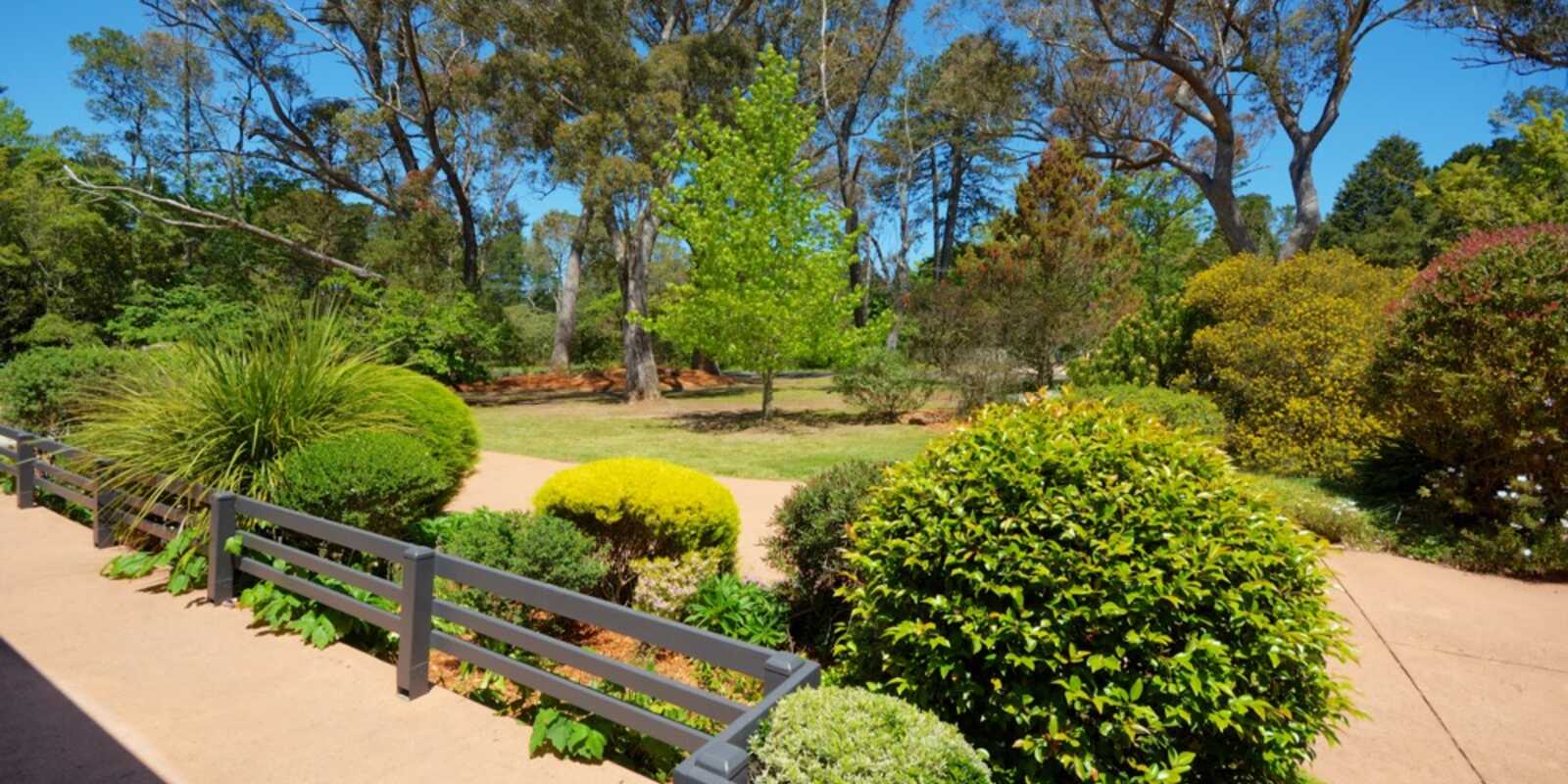 144-146 Evans Lookout Road Blackheath 144-146 Evans Lookout Road Blackheath
