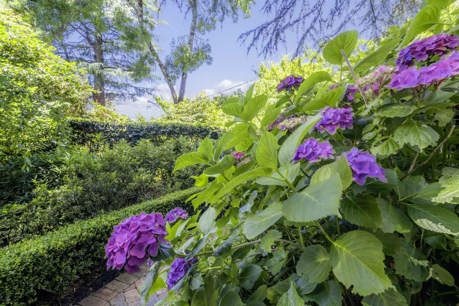 12 Grose Street Blackheath 12 Grose Street Blackheath