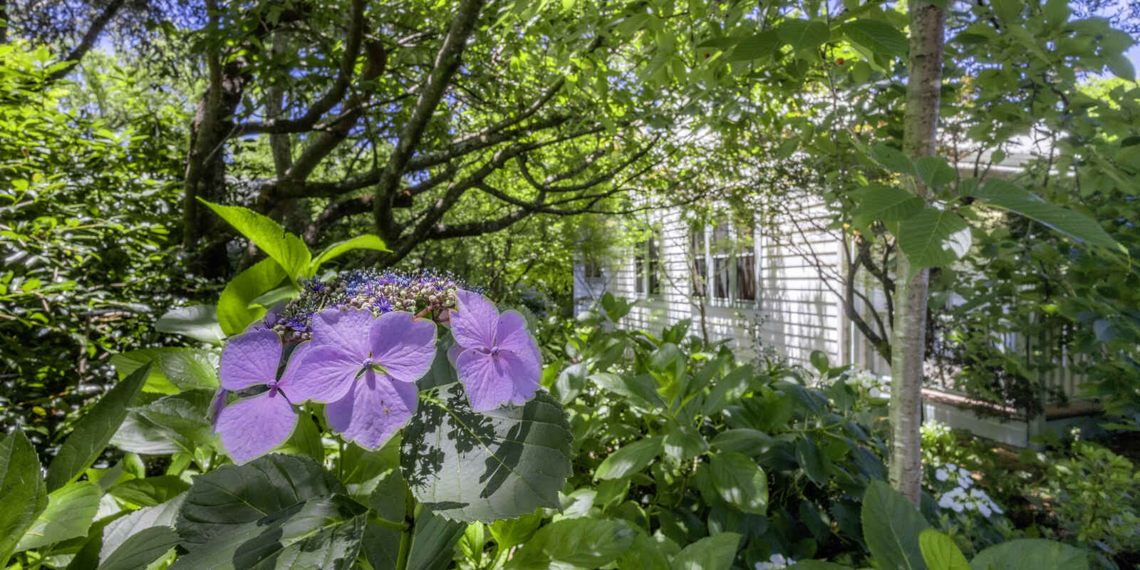 12 Grose Street Blackheath