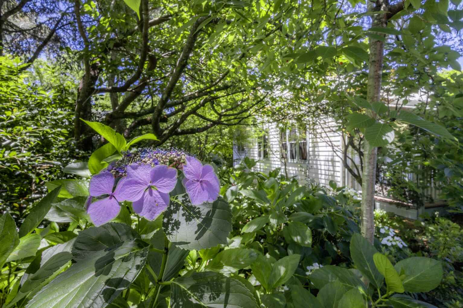 12 Grose Street Blackheath 12 Grose Street Blackheath