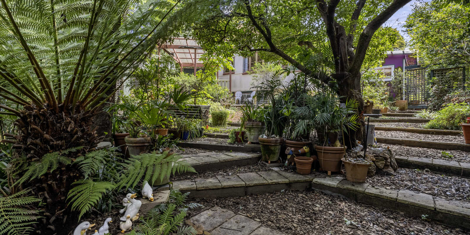 46 Taylor Avenue Wentworth Falls