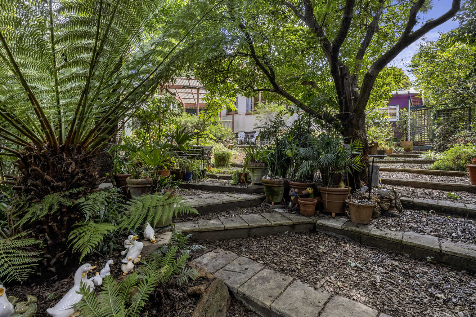 46 Taylor Avenue Wentworth Falls