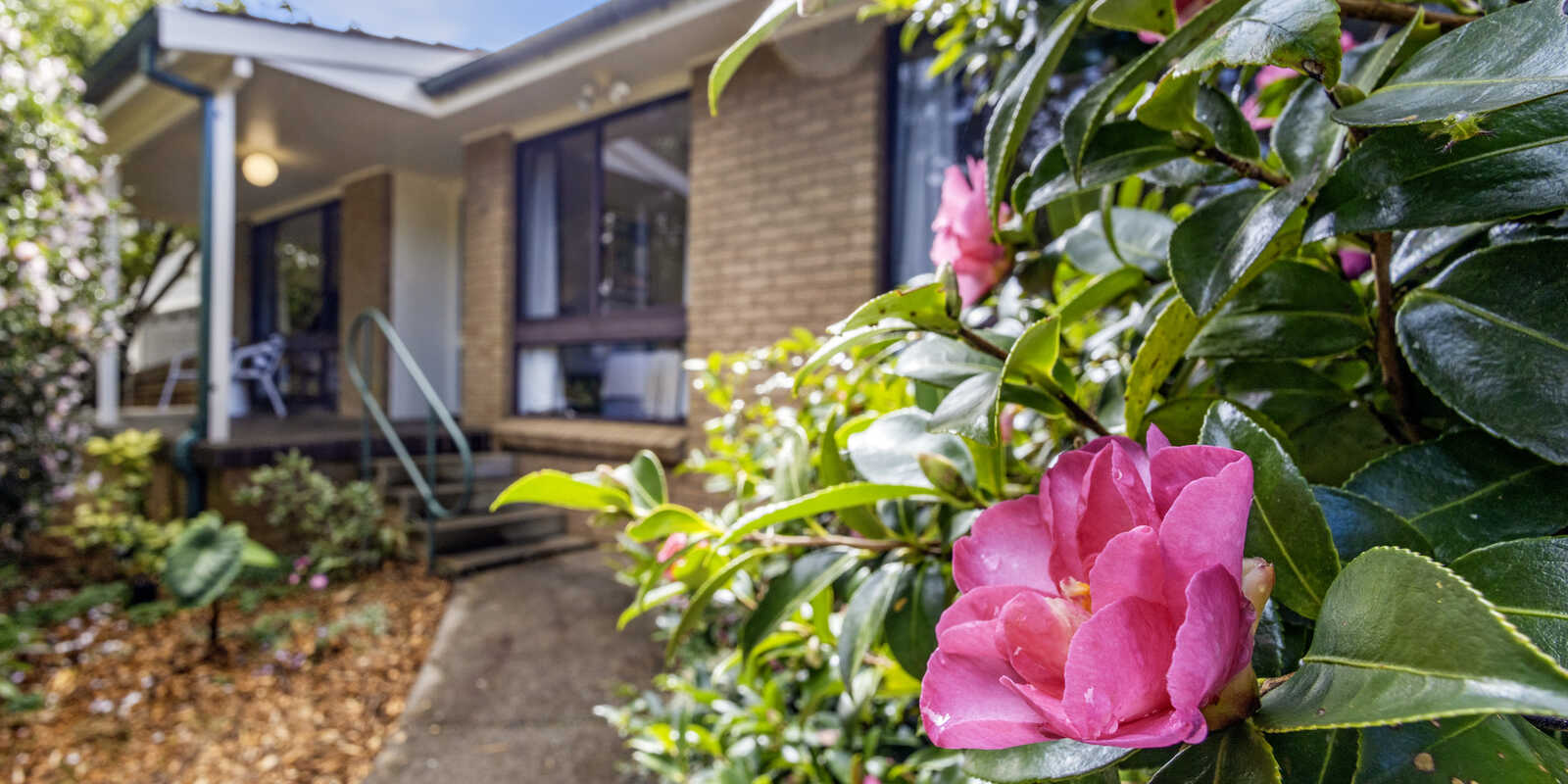 4 Belvidere Avenue Blackheath