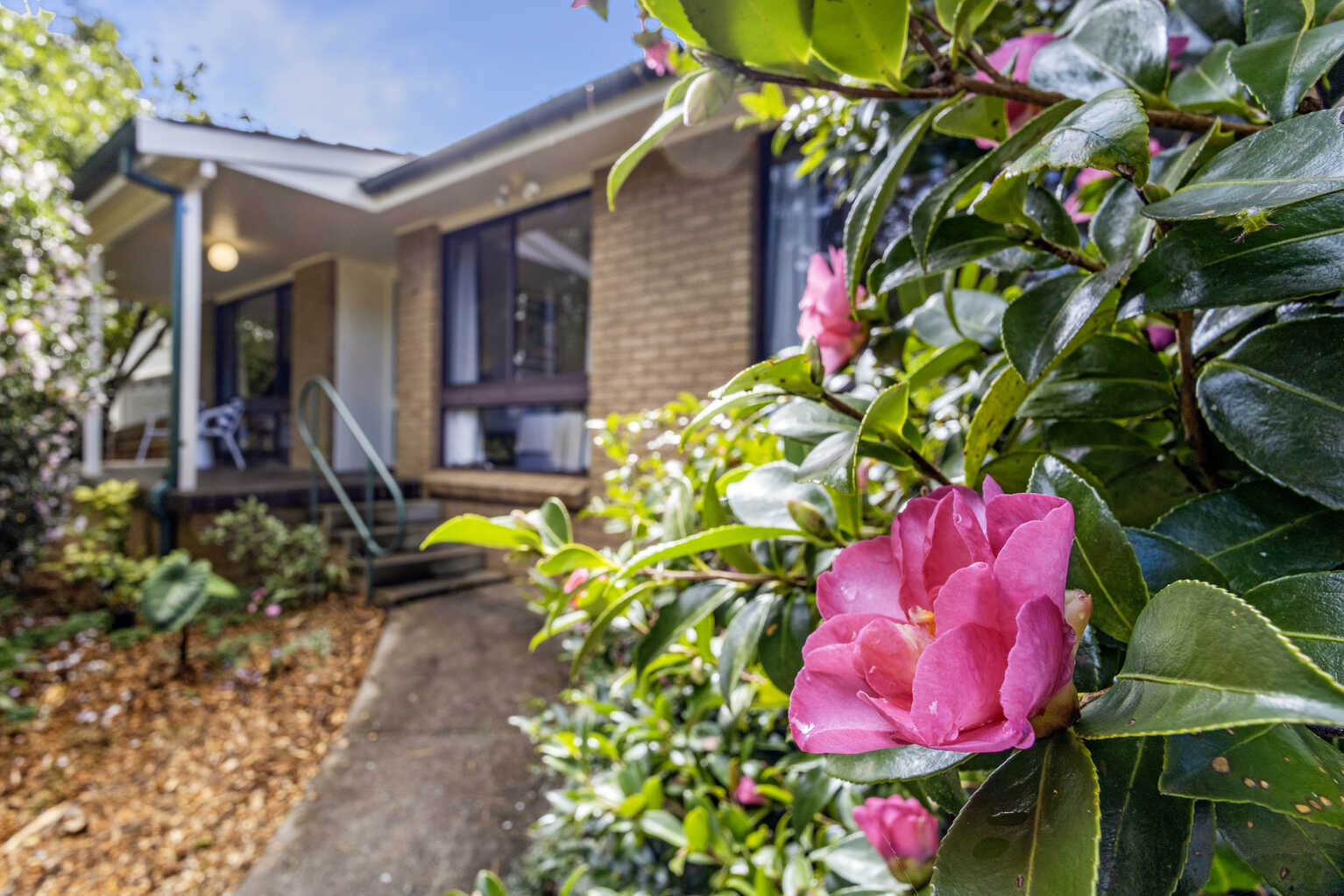 4 Belvidere Avenue Blackheath