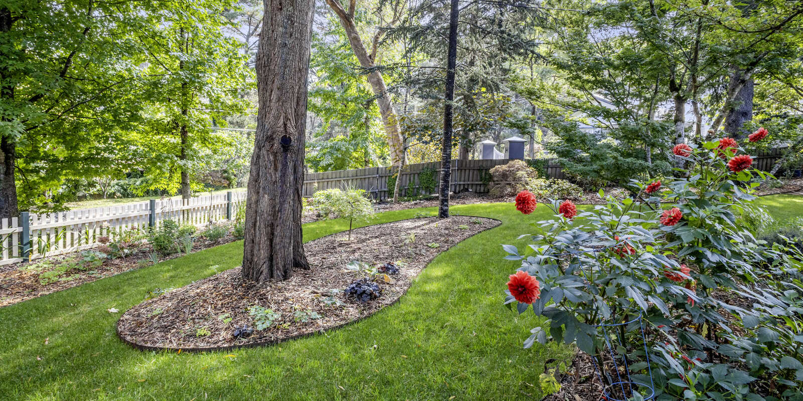4 Belvidere Avenue Blackheath