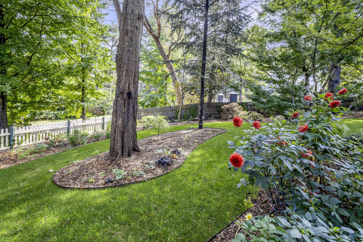 4 Belvidere Avenue Blackheath