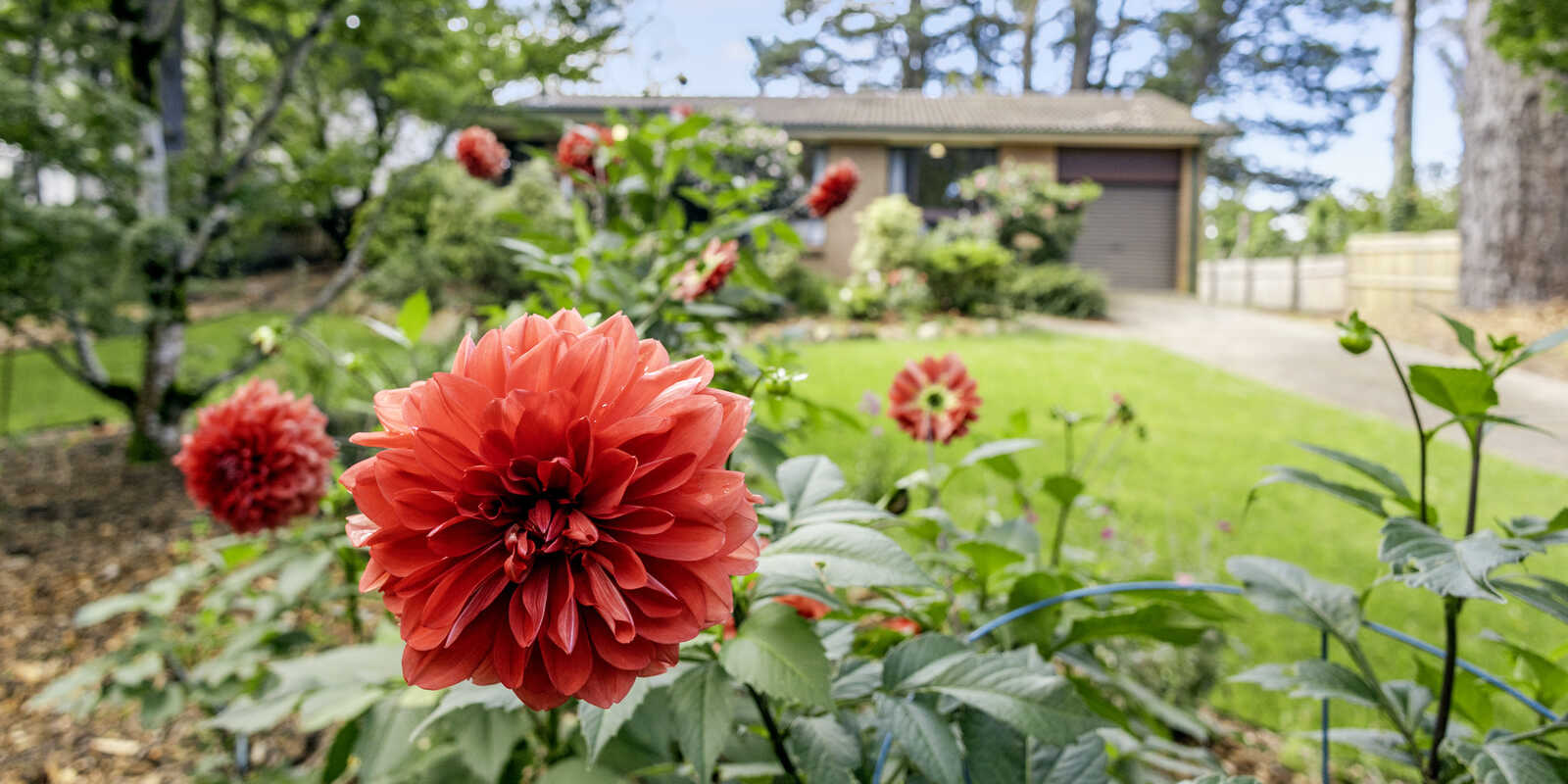 4 Belvidere Avenue Blackheath