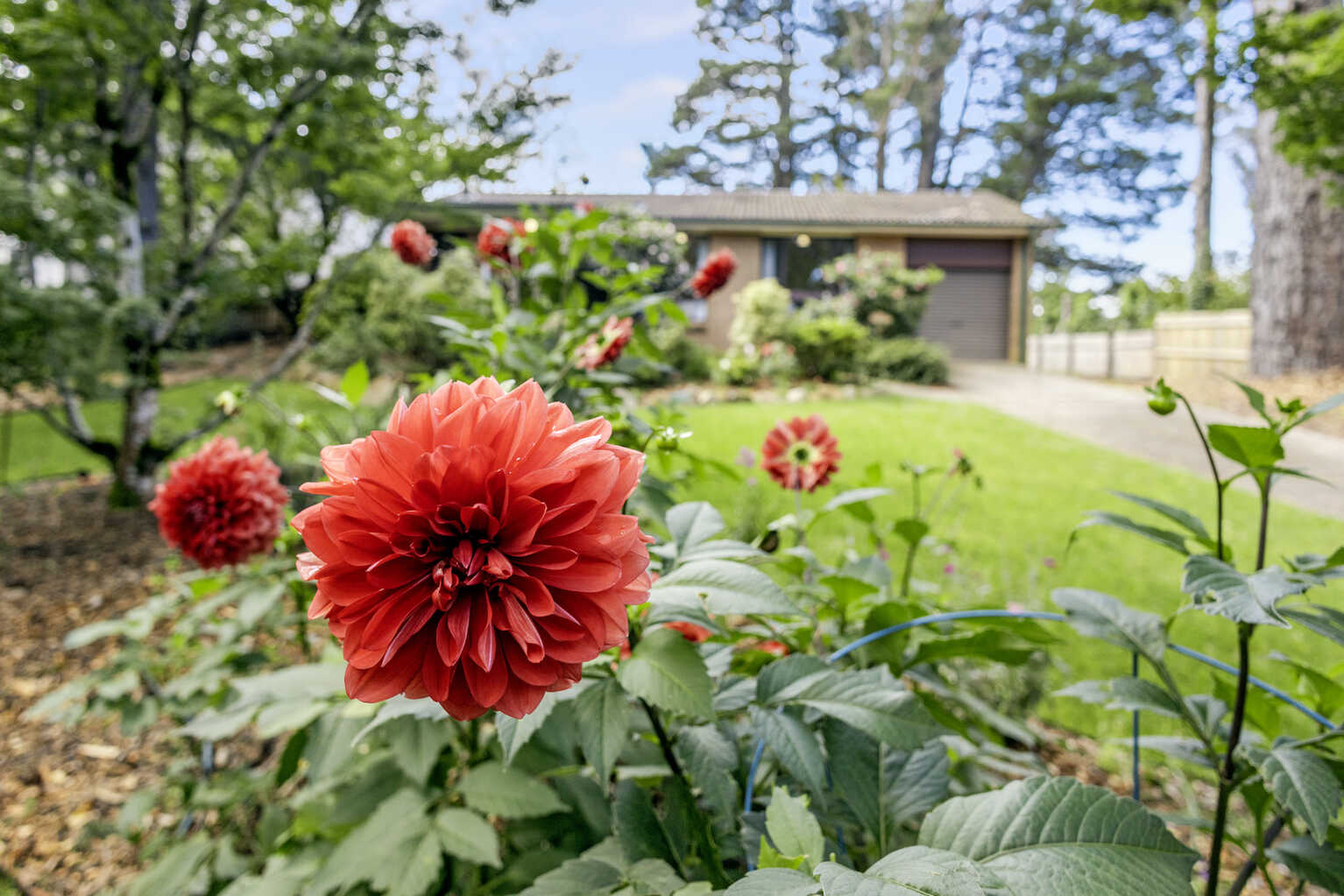 4 Belvidere Avenue Blackheath