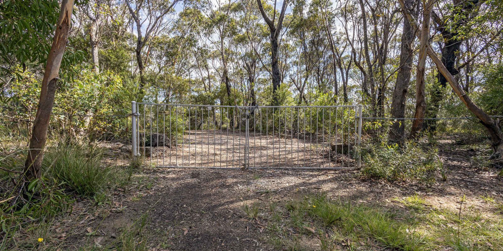 305-323 Evans Lookout Road Blackheath 305-323 Evans Lookout Road Blackheath