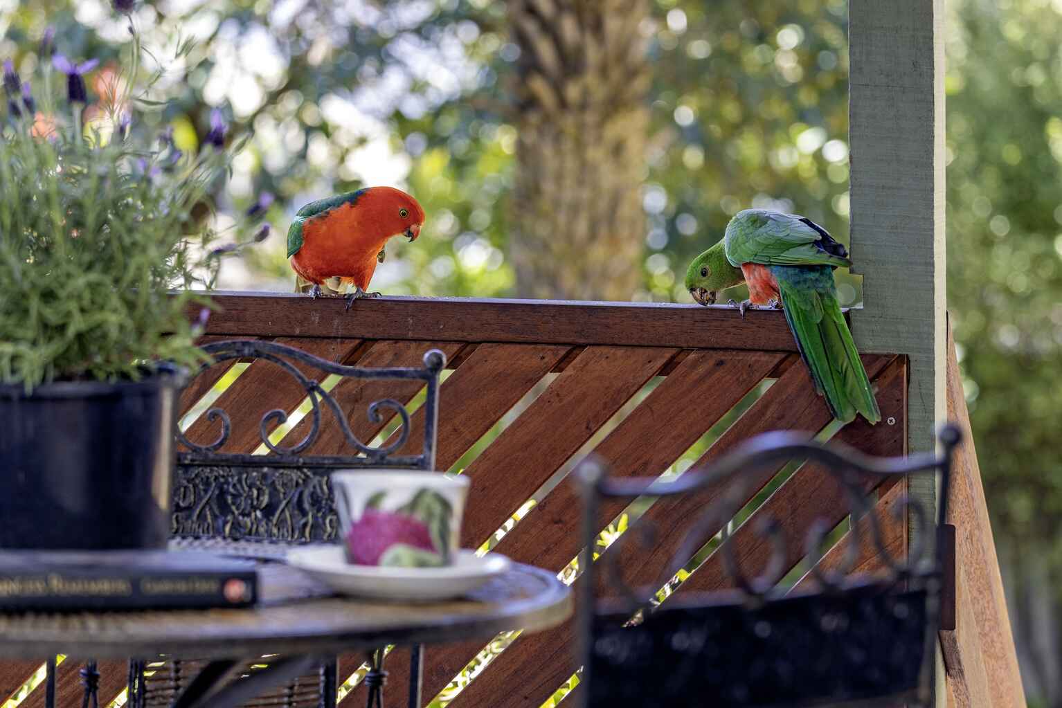 6 Heath Street Blackheath