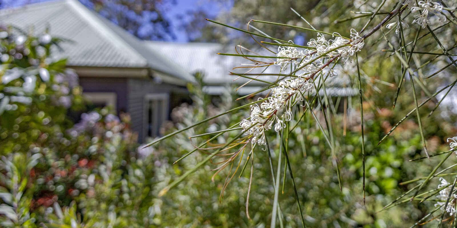 6 Heath Street Blackheath