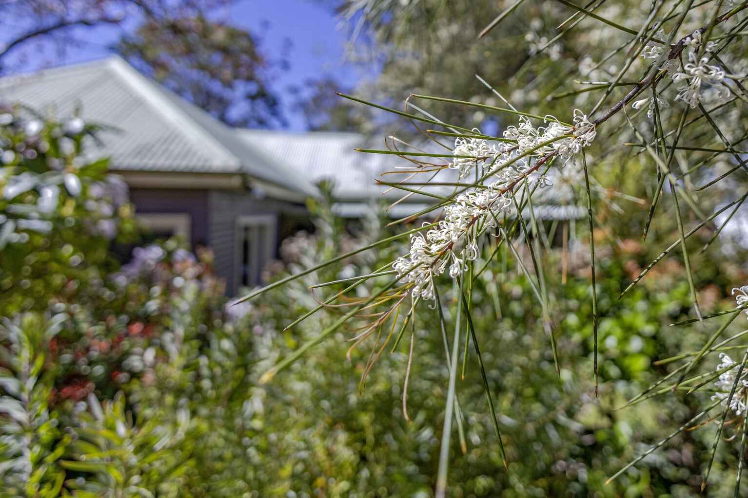 6 Heath Street Blackheath