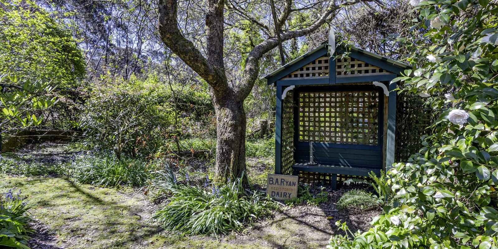 6 Chelmsford Avenue Blackheath
