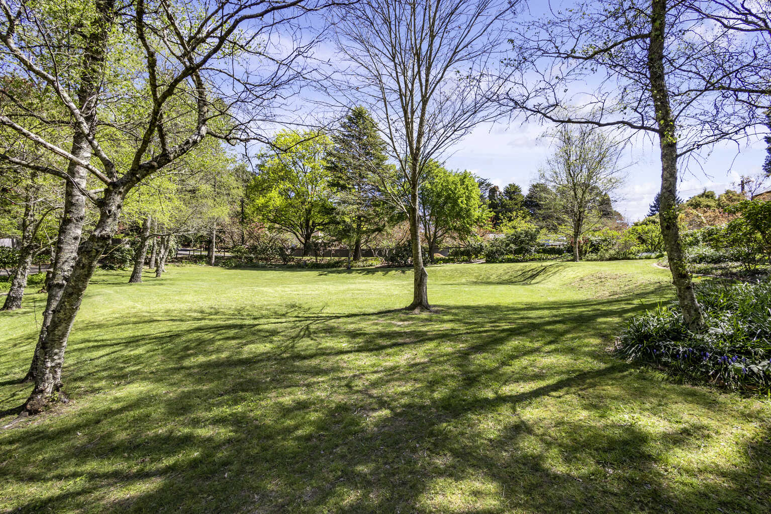 37 Inconstant Street Blackheath