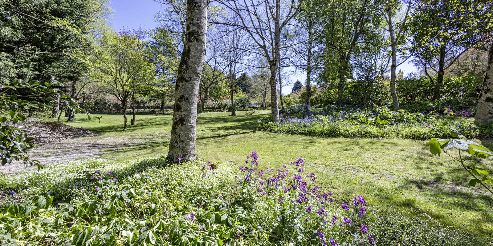 37 Inconstant Street Blackheath 37 Inconstant Street Blackheath