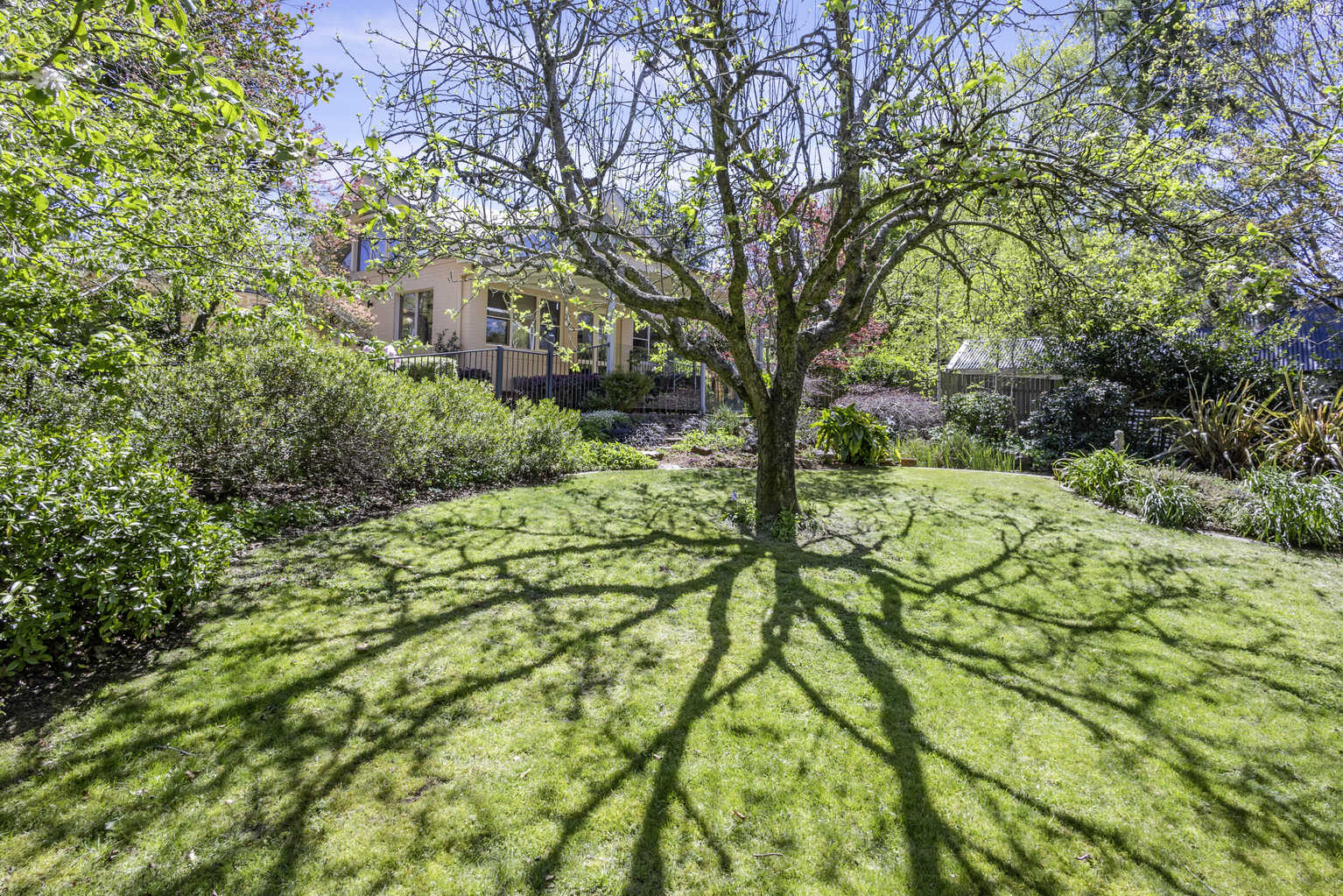 37 Inconstant Street Blackheath