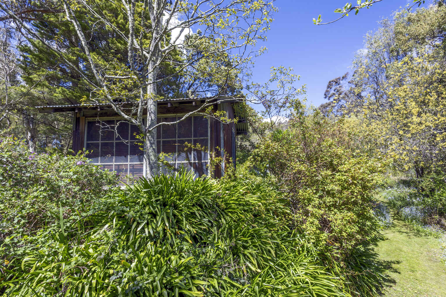 113-115 Shipley Road Blackheath 113-115 Shipley Road Blackheath