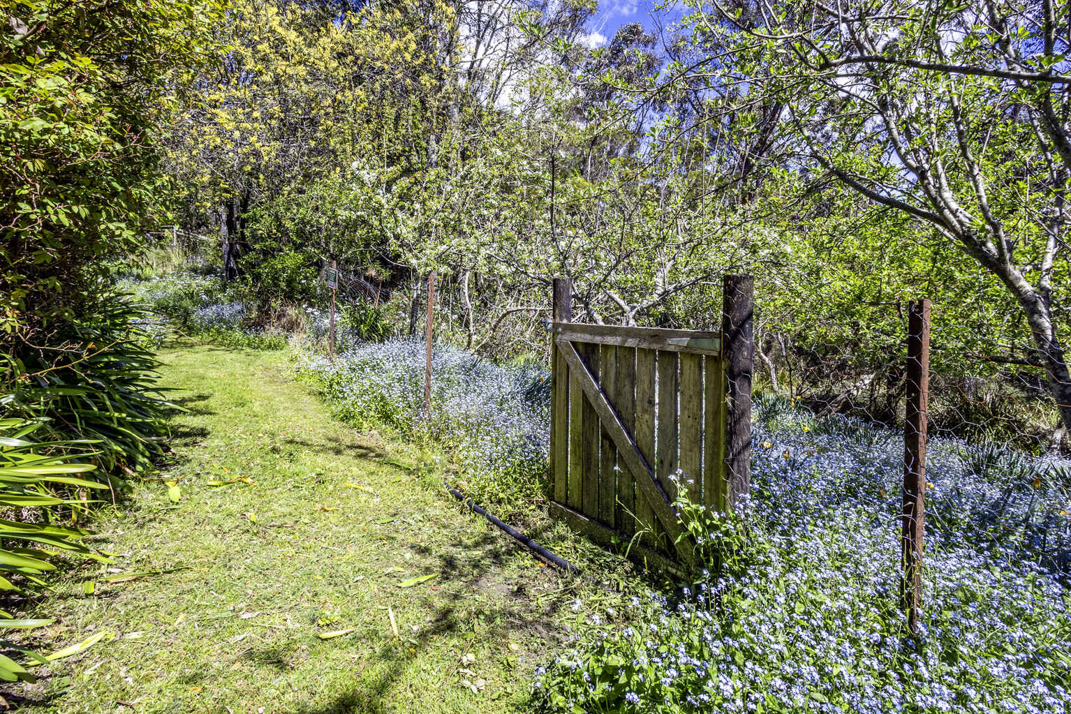 113-115 Shipley Road Blackheath 113-115 Shipley Road Blackheath