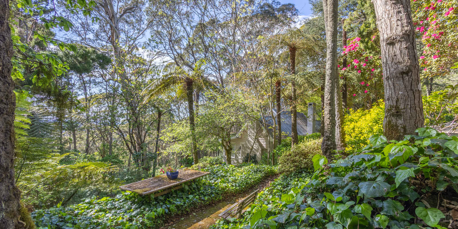 17-21 Wynnes Rocks Road Mount Wilson